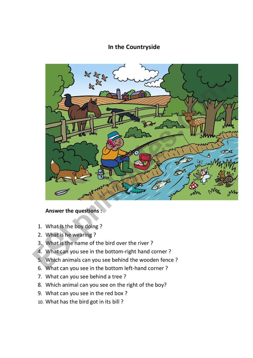 In the countryside worksheet