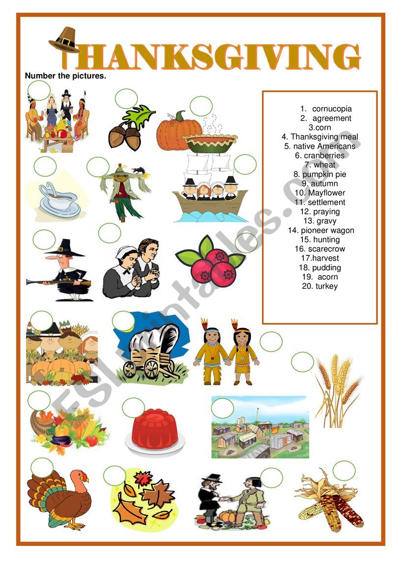 Thanksgiving  -  worksheet