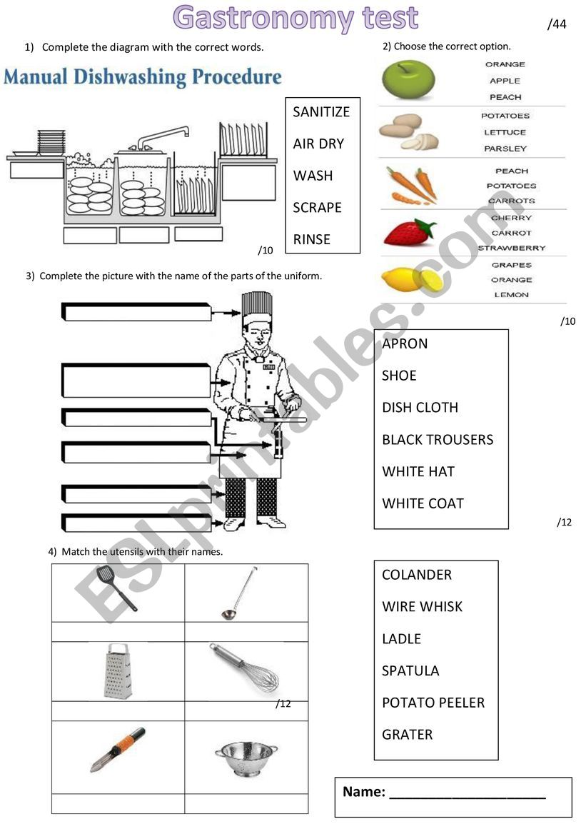 Gastronomy test worksheet