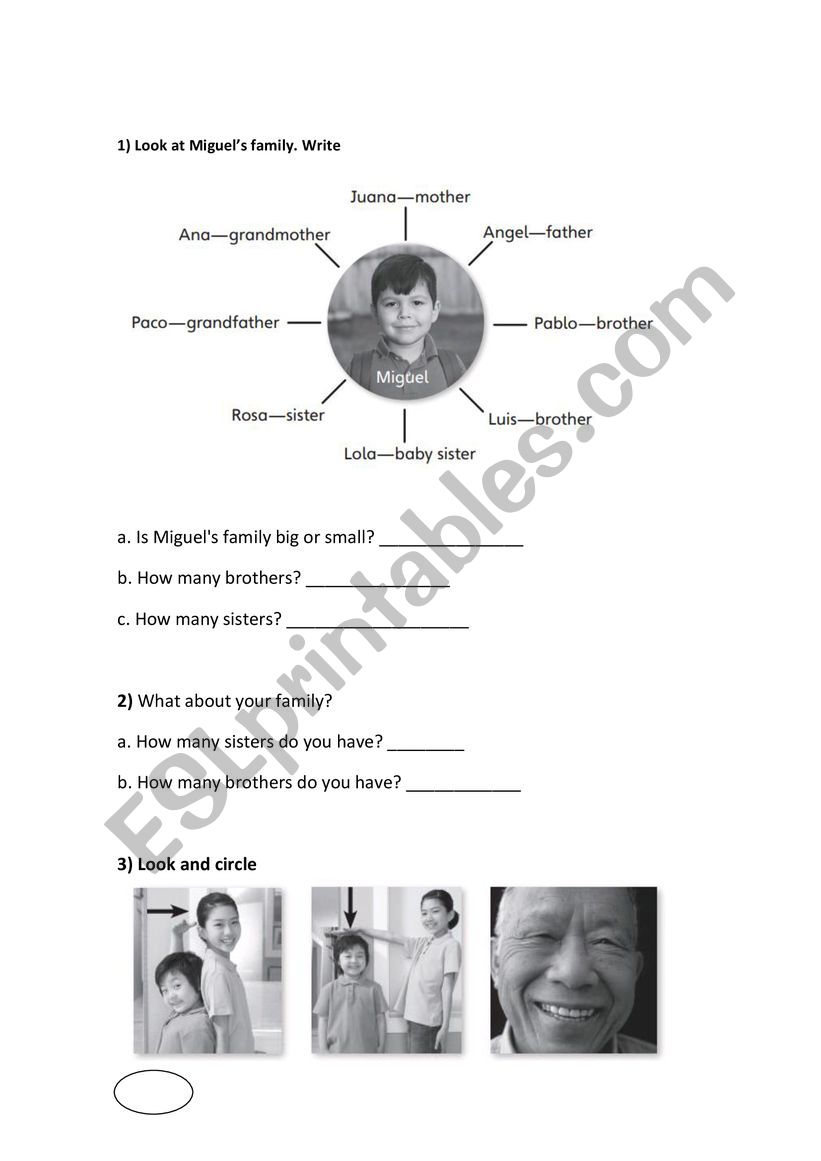 Family - exercises  worksheet