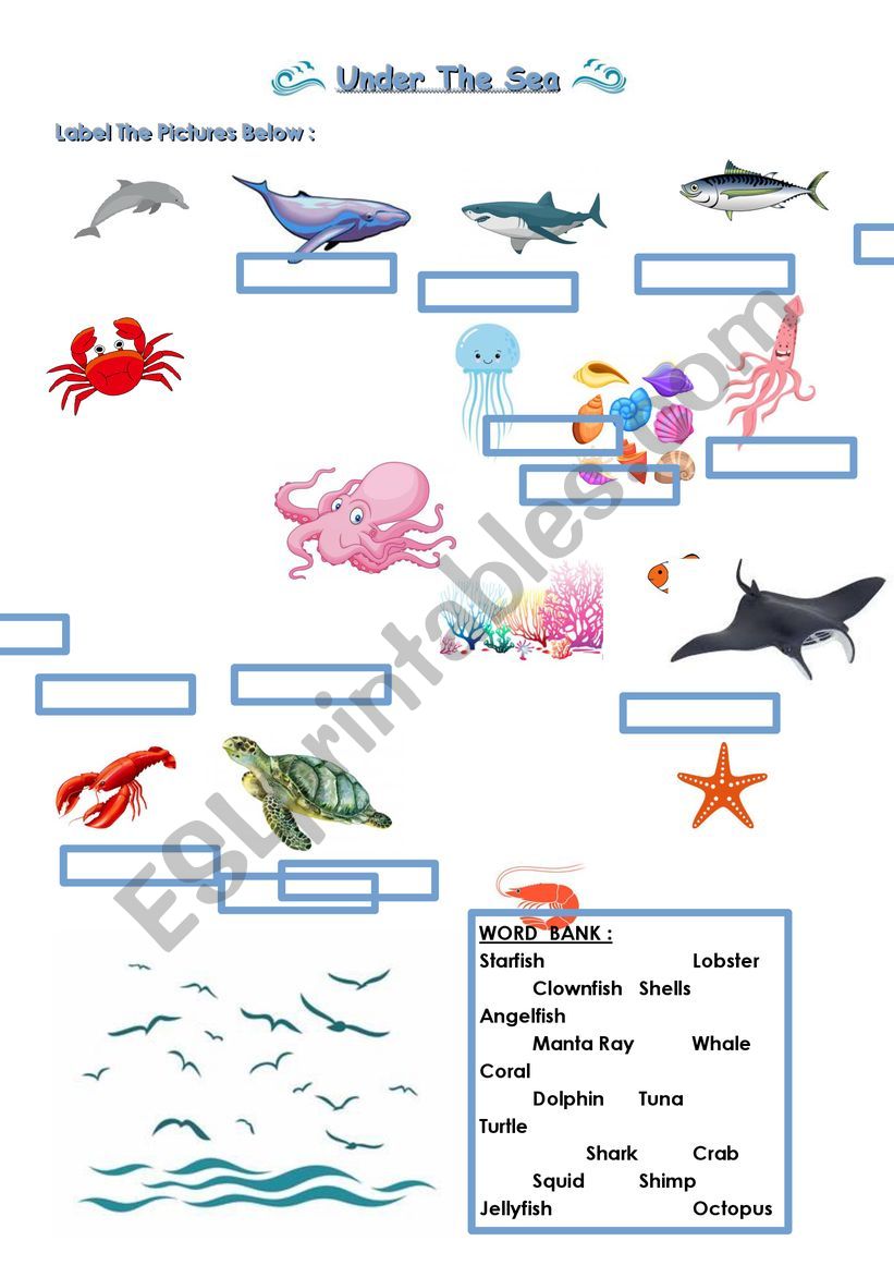 Sea animals worksheet