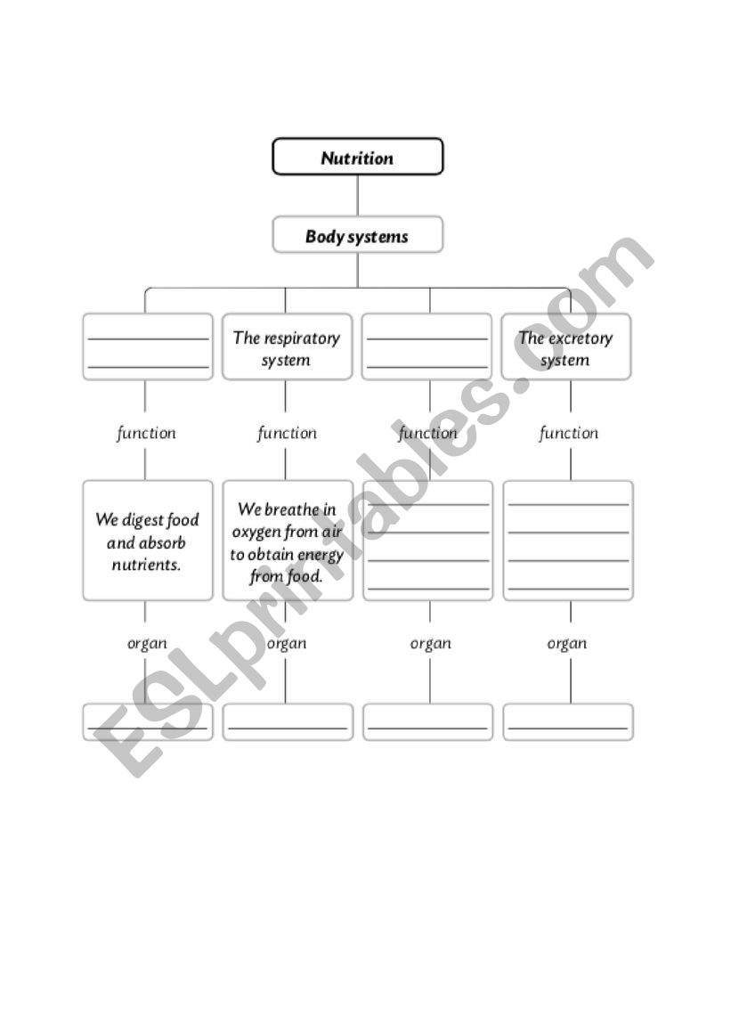 Nutrition worksheet