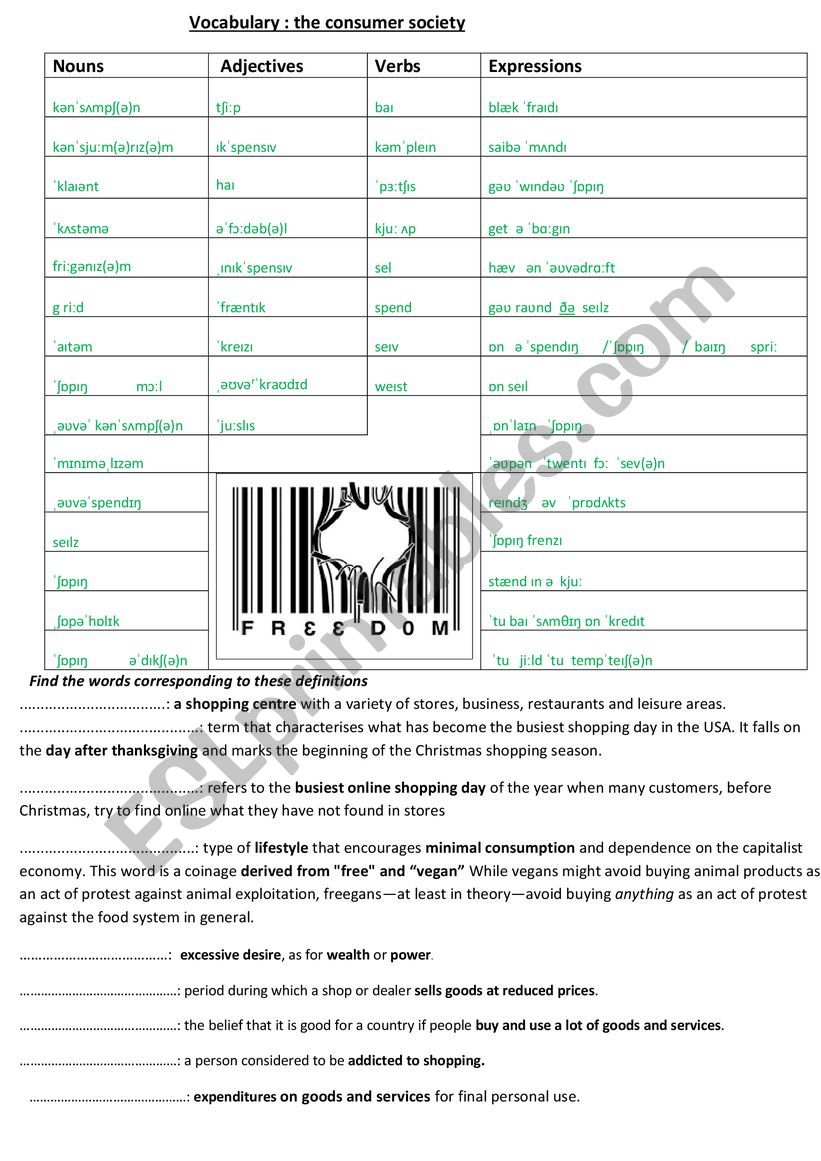 Vocabulary the consumer society