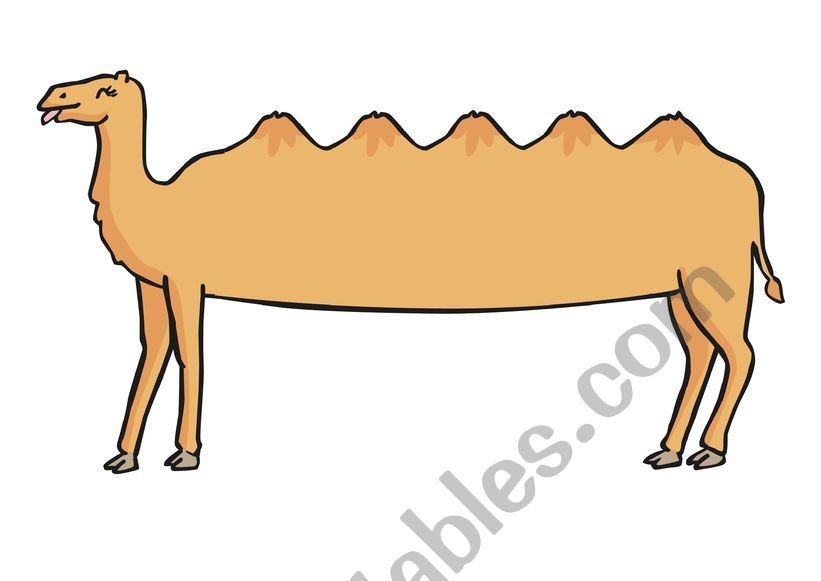 Alice the Camel worksheet