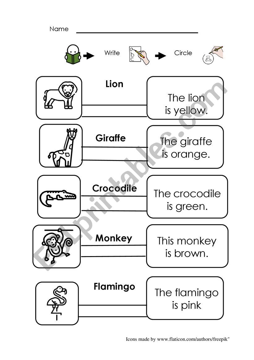 WILD ANIMALS (special needs pupils)