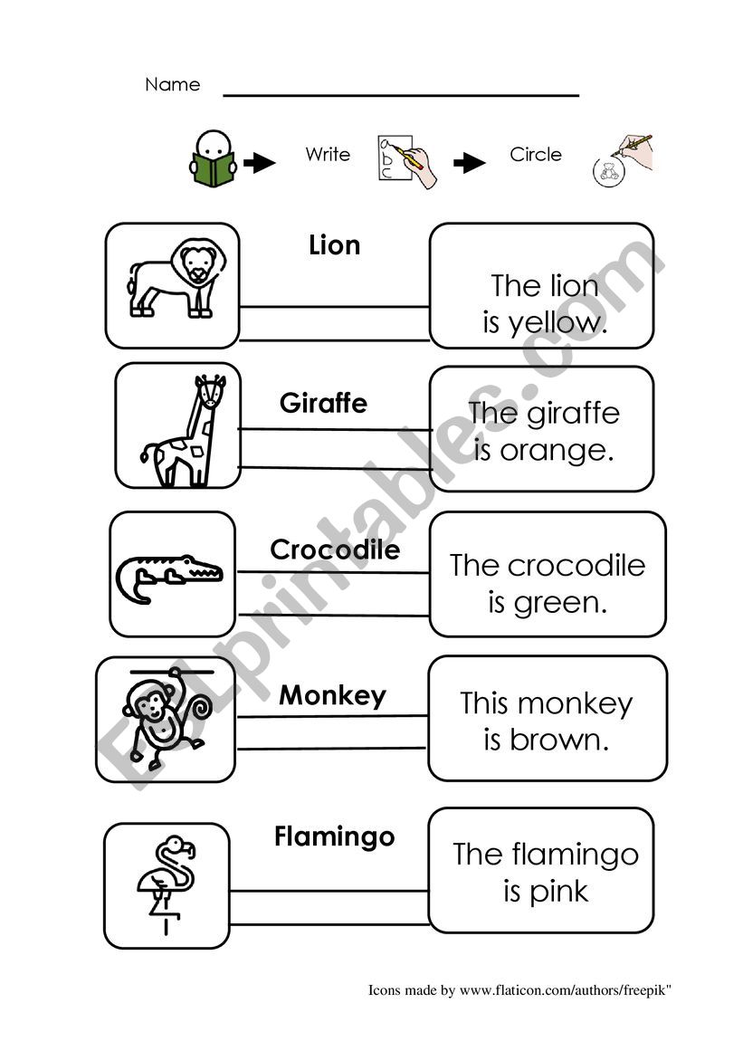 WILD ANIMALS (special needs pupils)