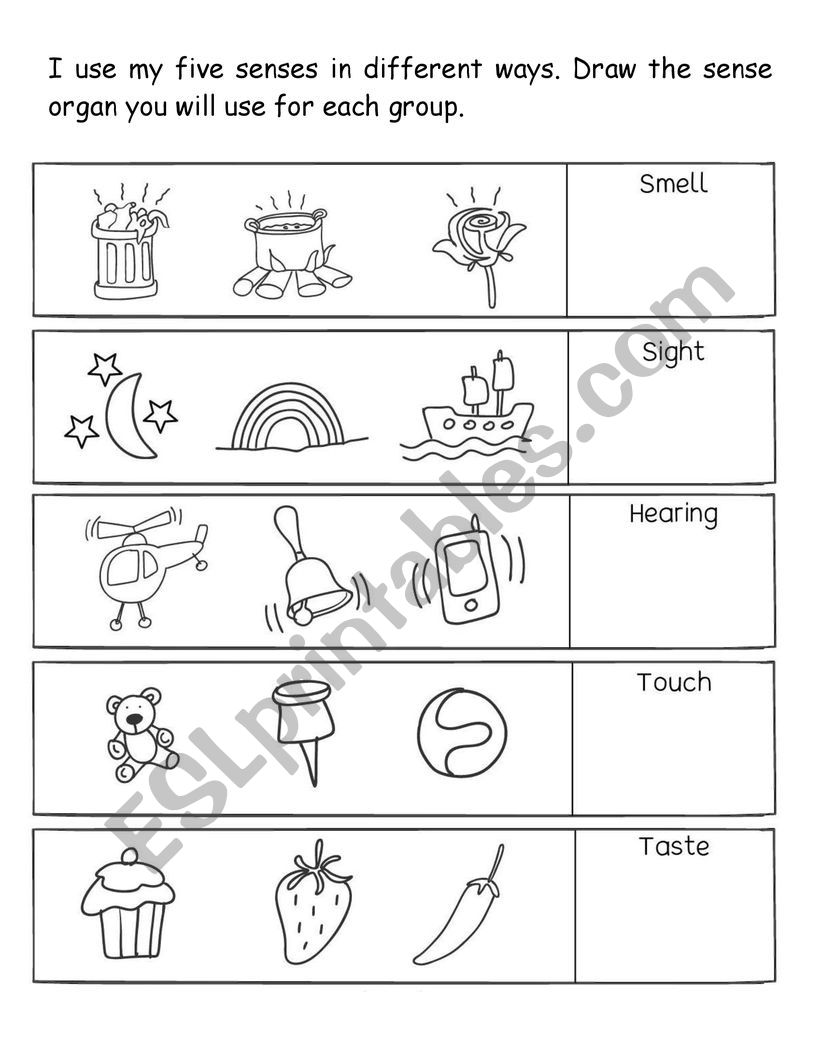 Five Senses worksheet