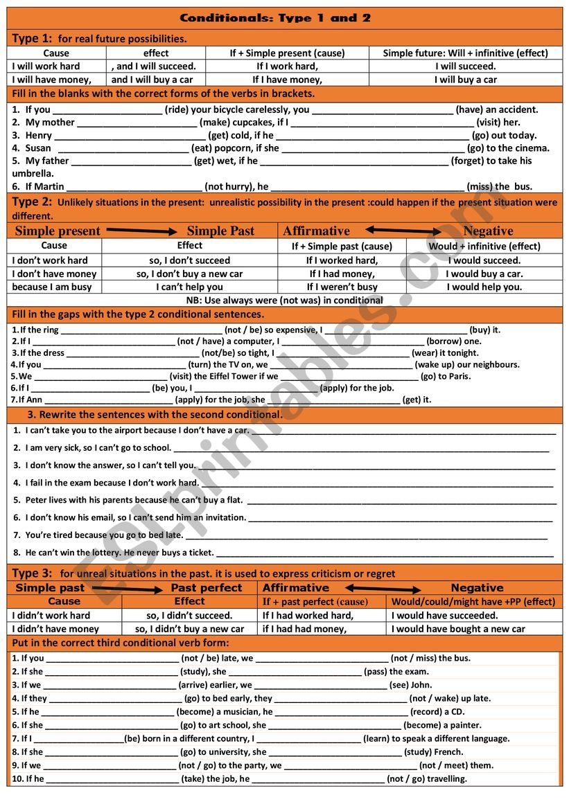 Conditionals Type 1 and 2 worksheet