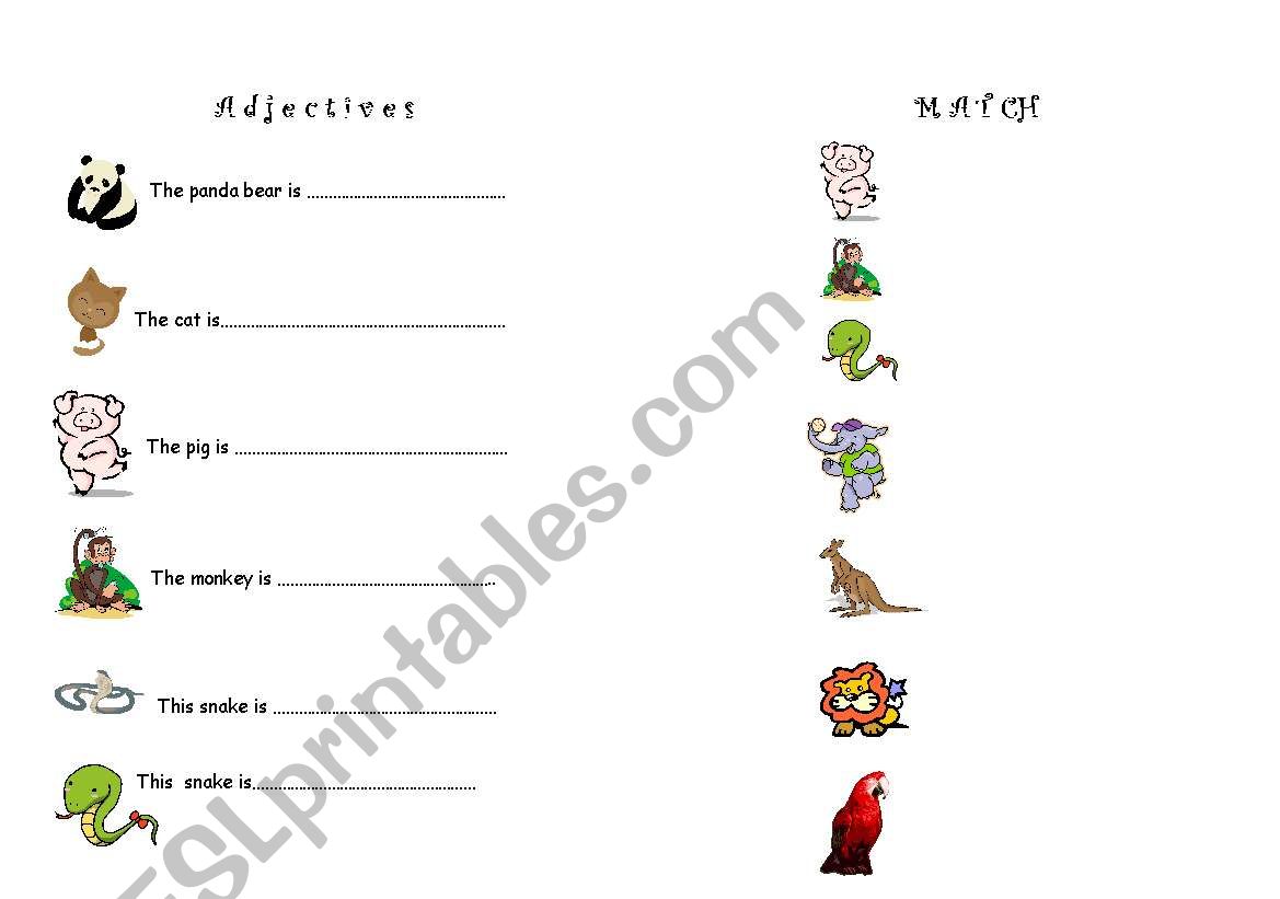 activities with adjectives worksheet