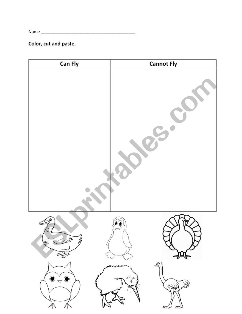 Bird Comparison Worksheet worksheet