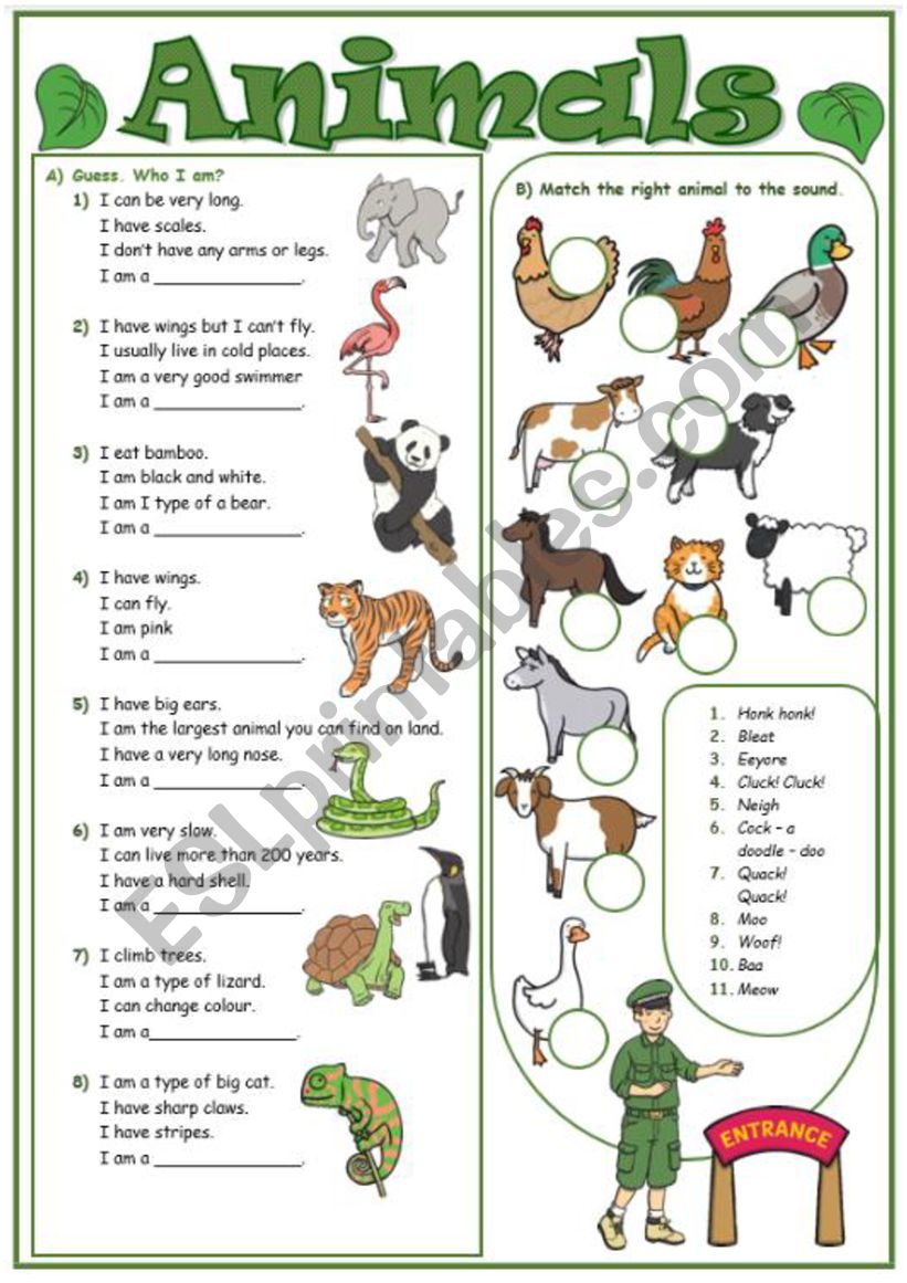 Animals worksheet