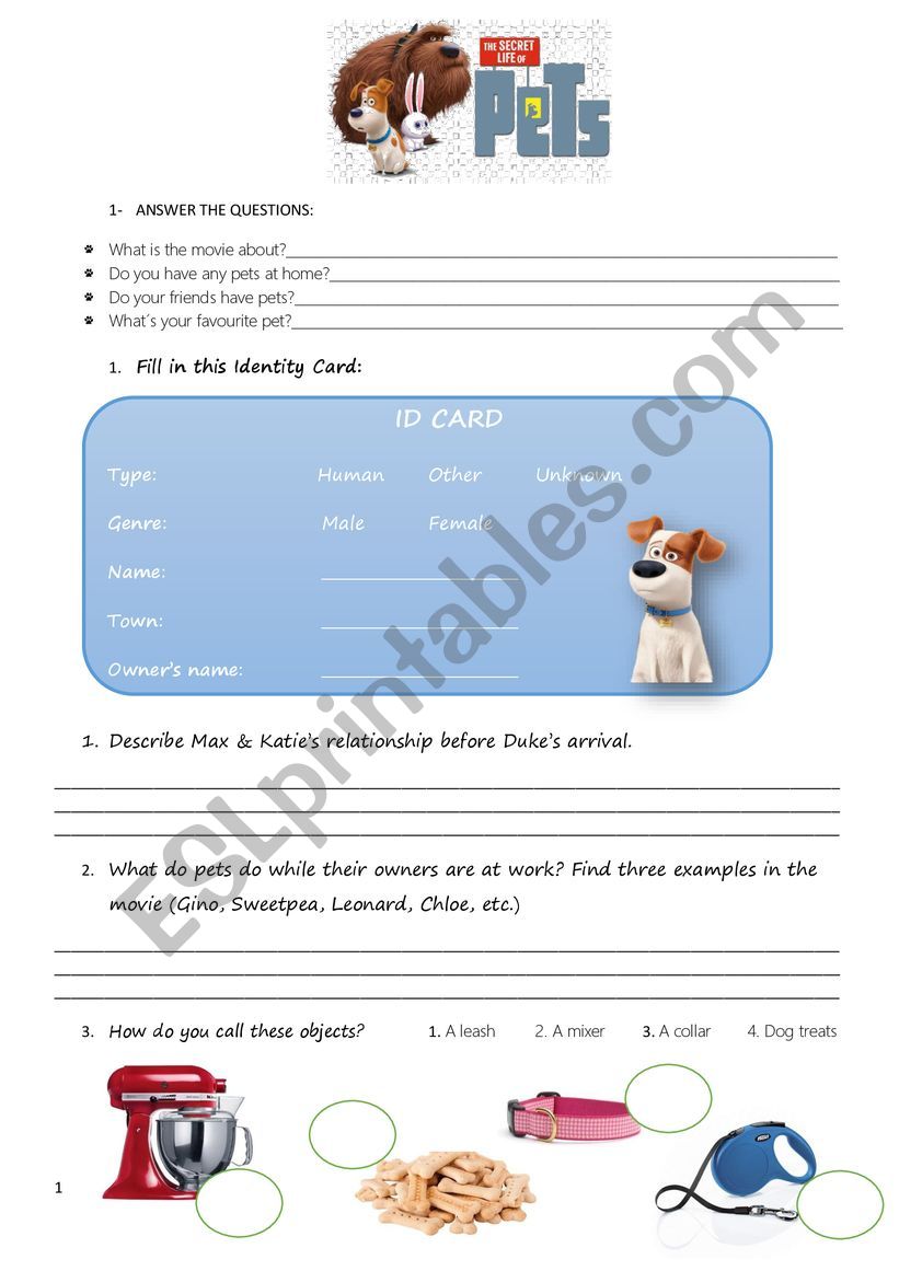 The secret life of pets worksheet