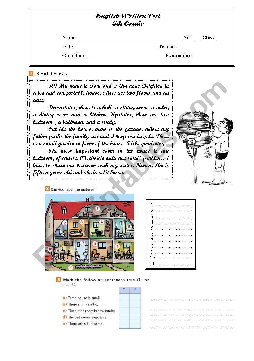 TomÂ´s house worksheet