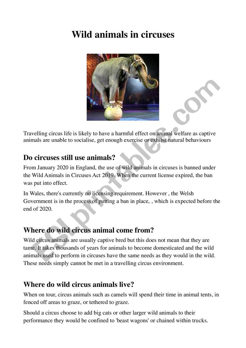 Wild animals in circuses worksheet