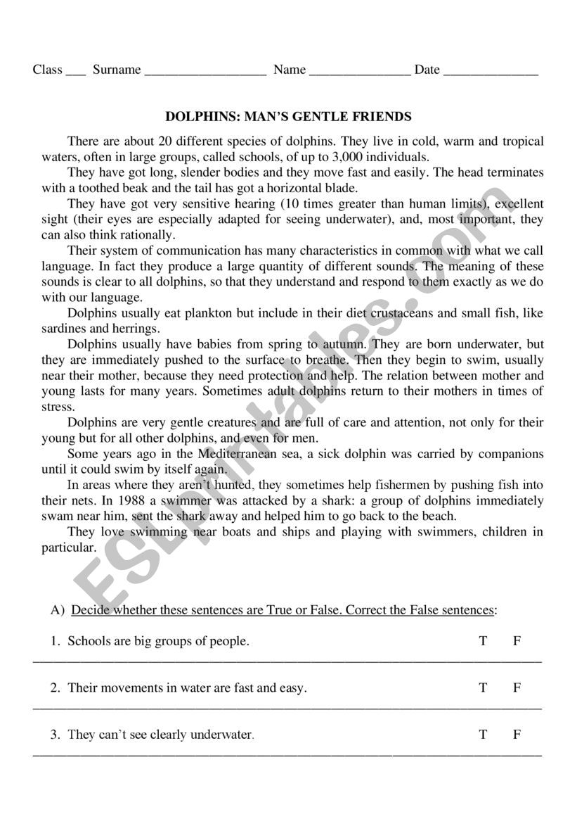 Dolphins worksheet