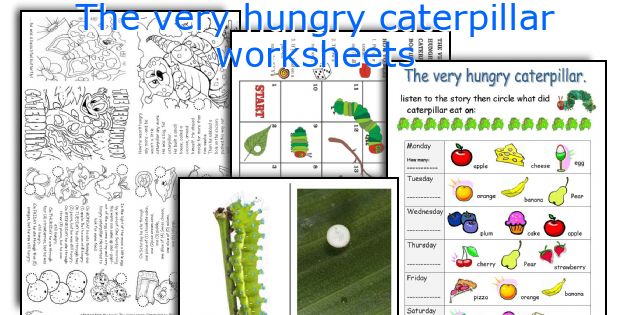 The very hungry caterpillar worksheets