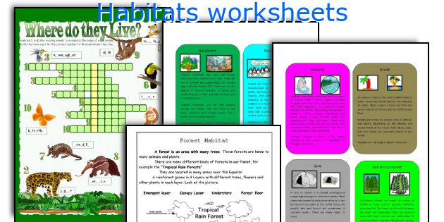 Habitats worksheets
