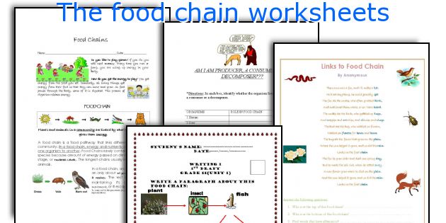 The food chain worksheets