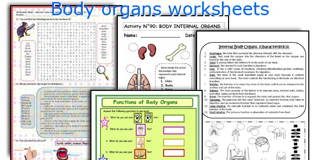 Body organs worksheets