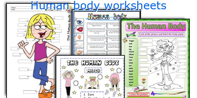 Human body worksheets