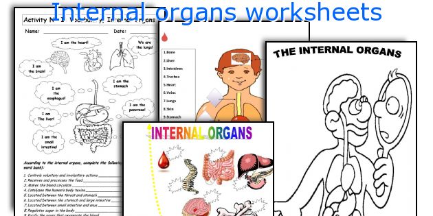 Internal organs worksheets