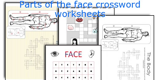 Parts of the face crossword worksheets