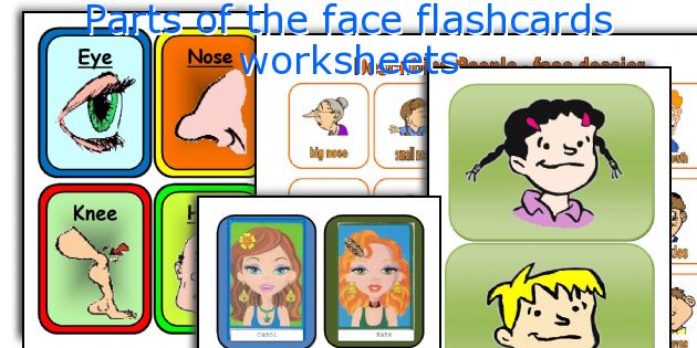 Parts of the face flashcards worksheets