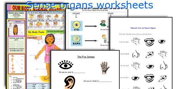 Sense organs worksheets