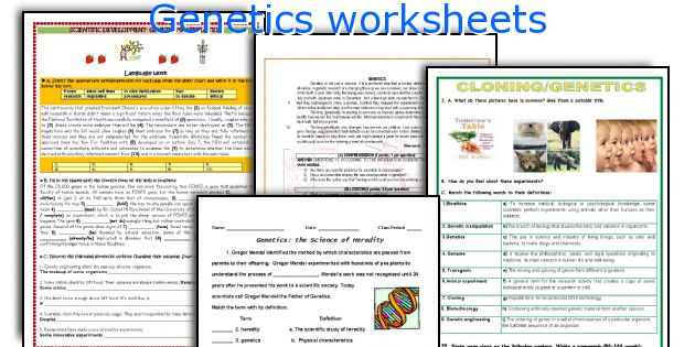 Genetics worksheets