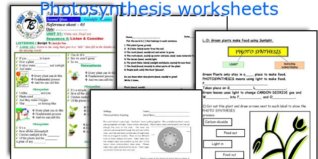 Photosynthesis worksheets