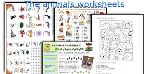 The animals worksheets