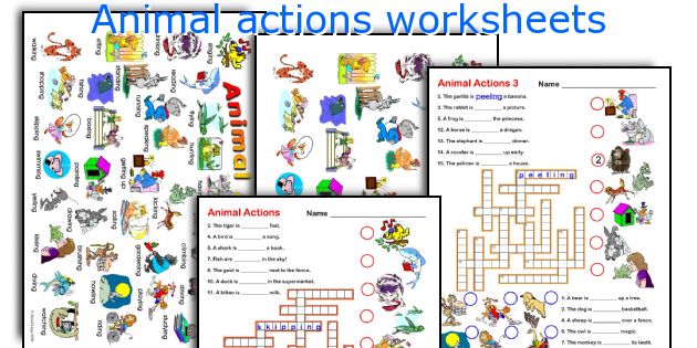 Animal actions worksheets