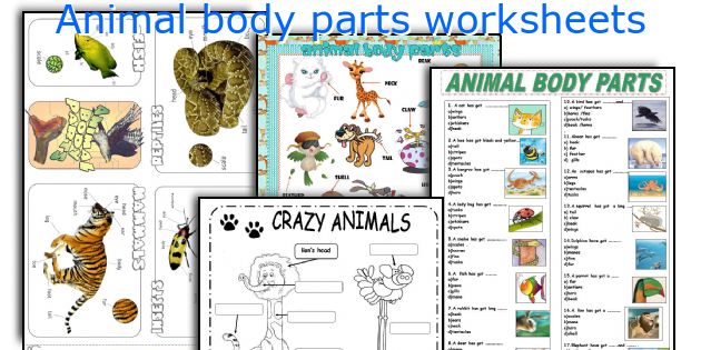 Body Parts Chart Pdf