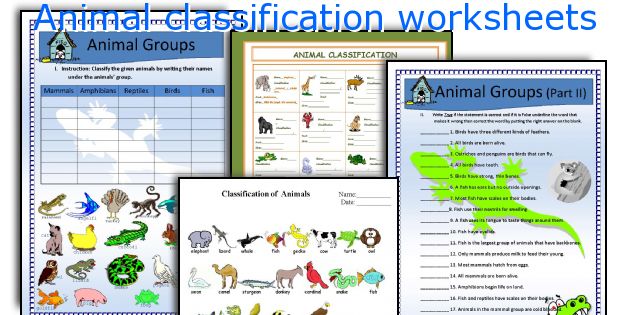 Animal classification worksheets