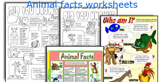 Animal facts worksheets