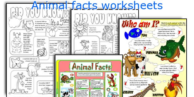 Animal facts worksheets