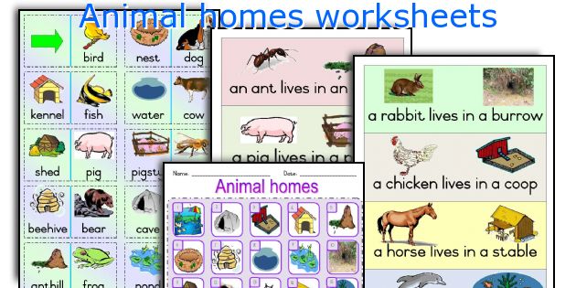 Animal homes worksheets