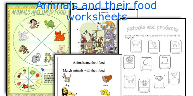 Animals and their food worksheets