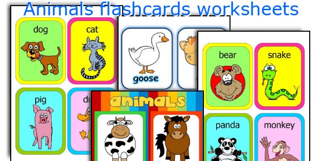 Animals flashcards worksheets