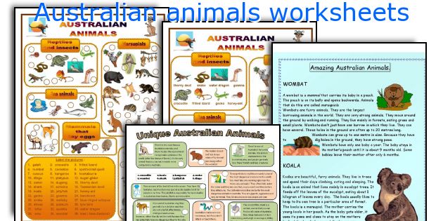 Australian animals worksheets