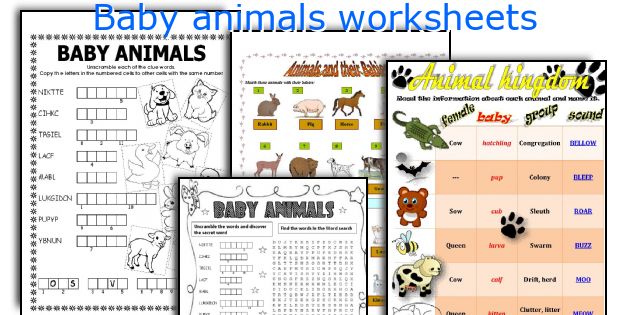 Baby animals worksheets