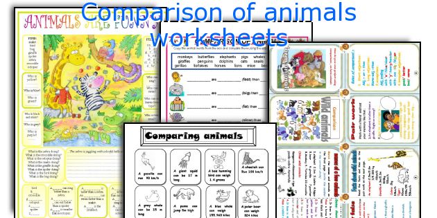 Comparison of animals worksheets