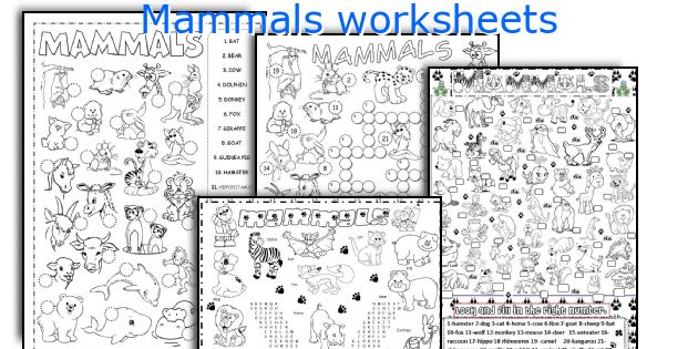 Mammals worksheets