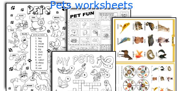 Pets worksheets