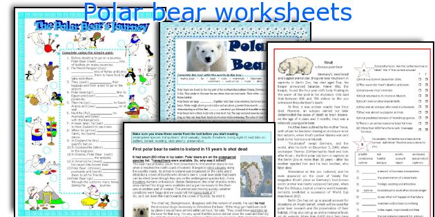 Polar bear worksheets
