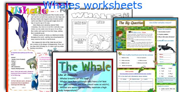 Whales worksheets