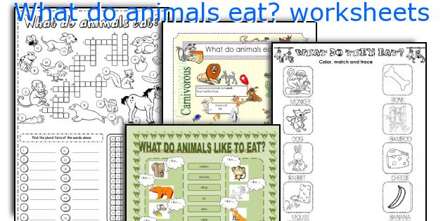 What do animals eat? worksheets